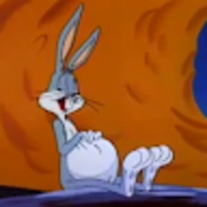 Meet your Posher, Bridger